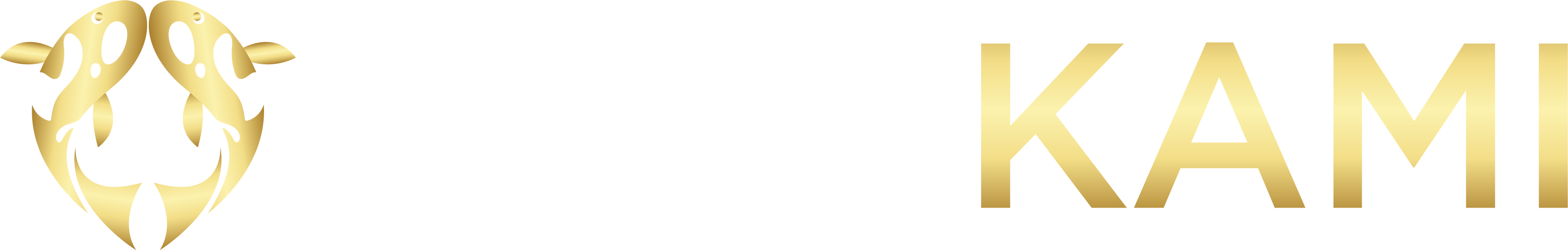 PLAYKAMI
